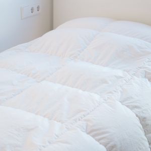 羽毛ふとんに使われる羽毛の種類