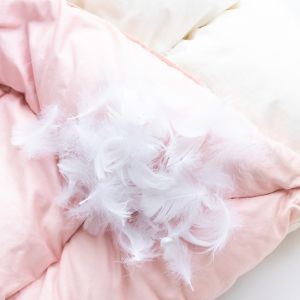 羽毛ふとんの選び方