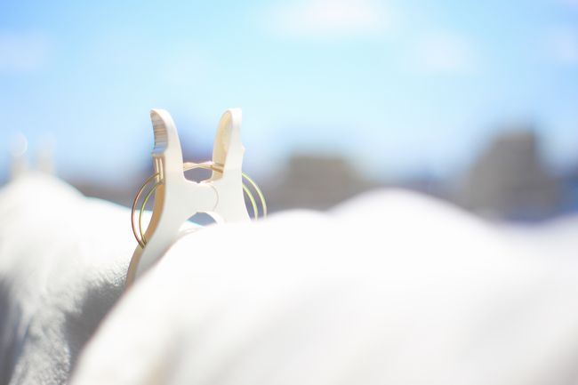 羽毛ふとんをしっかり乾かすコツ