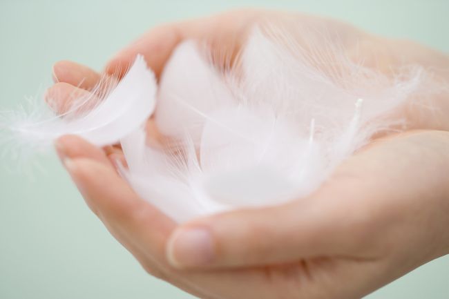 羽毛は農産品！