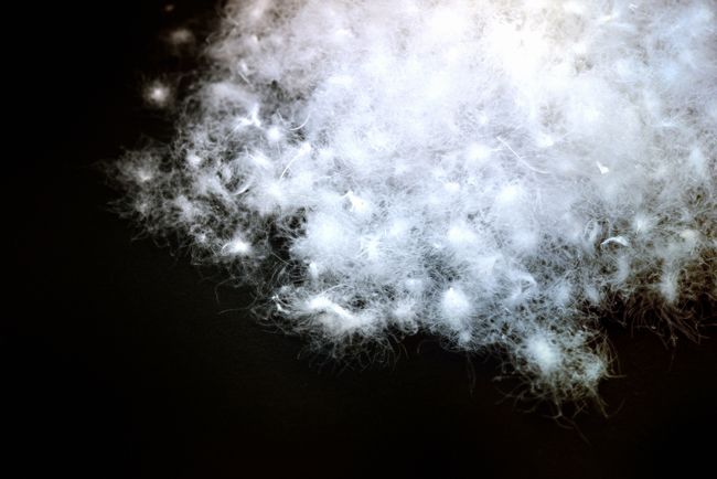 マザーグースにもランクがあります！