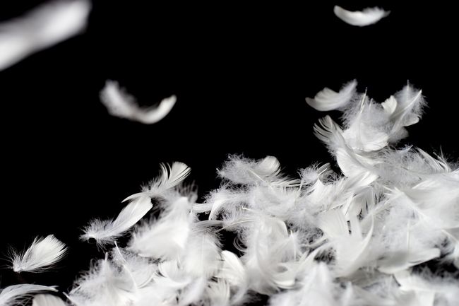 使っていたら、中身の羽毛が出てきました。対処方法はあるのでしょうか？