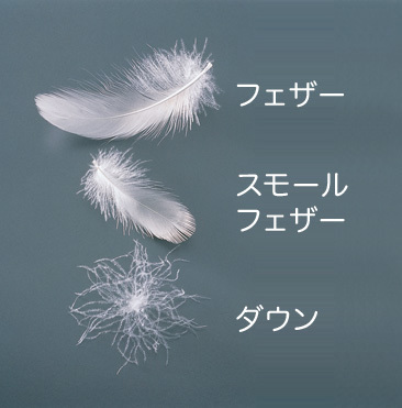 ダウン・フェザー