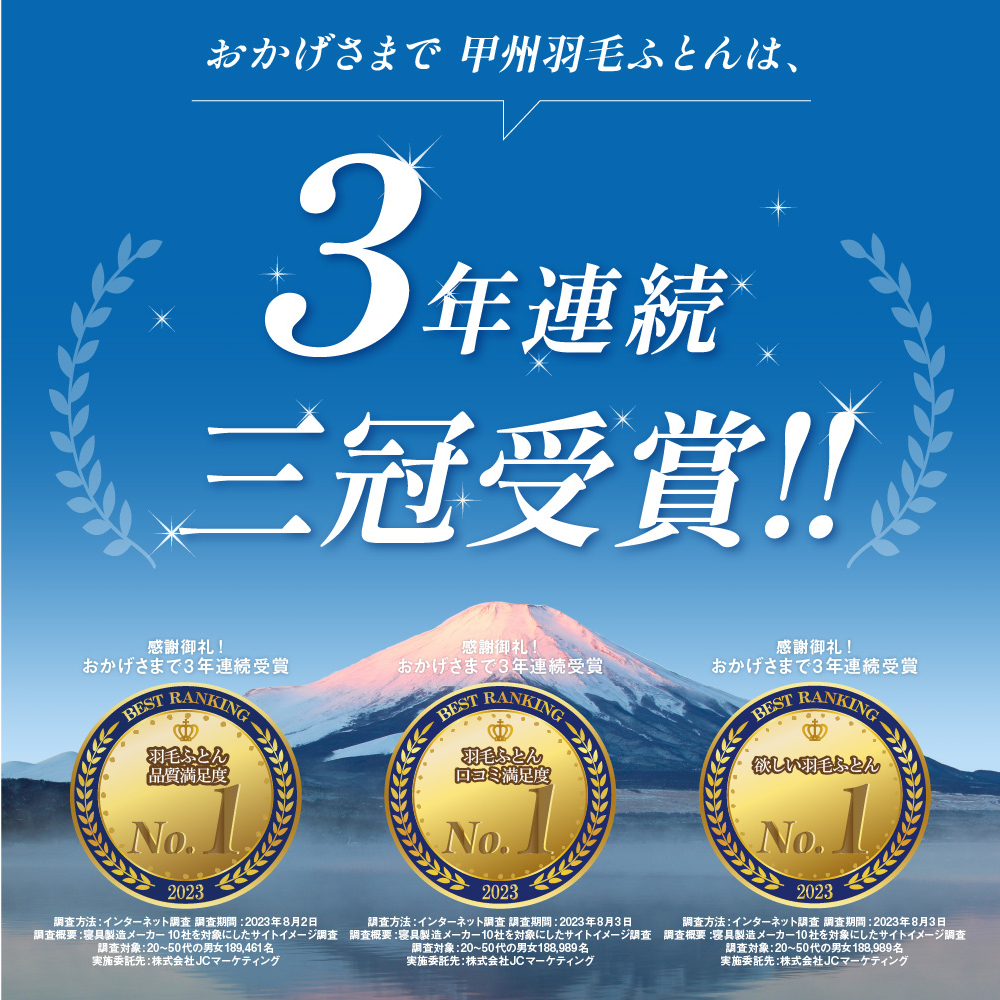 2層本掛けポーランド産マザーグース95%羽毛布団 - 甲州羽毛ふとん公式通販